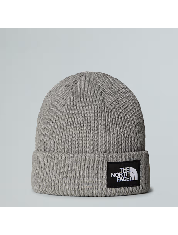 SALTY LINED BEANIE