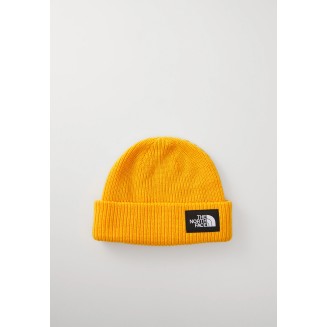 SALTY LINED BEANIE