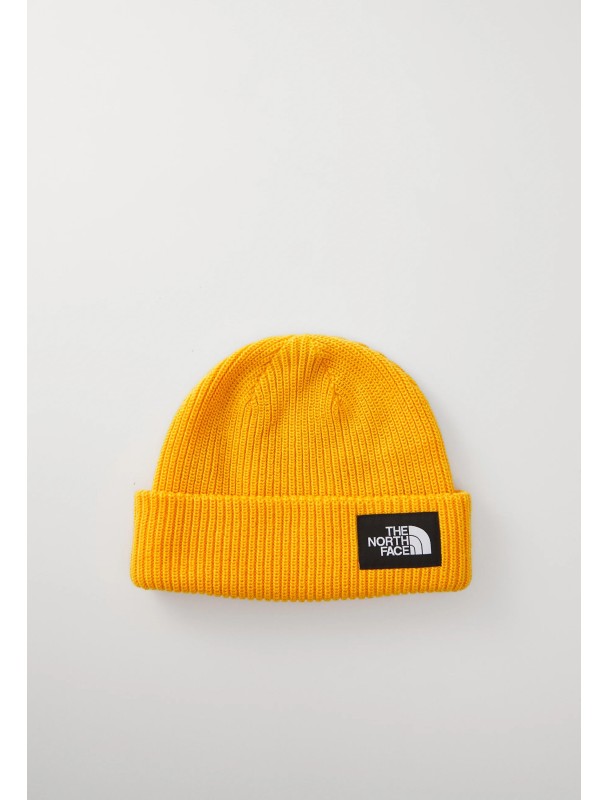 SALTY LINED BEANIE