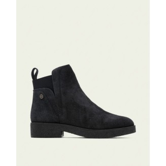 BOTIN PLANO