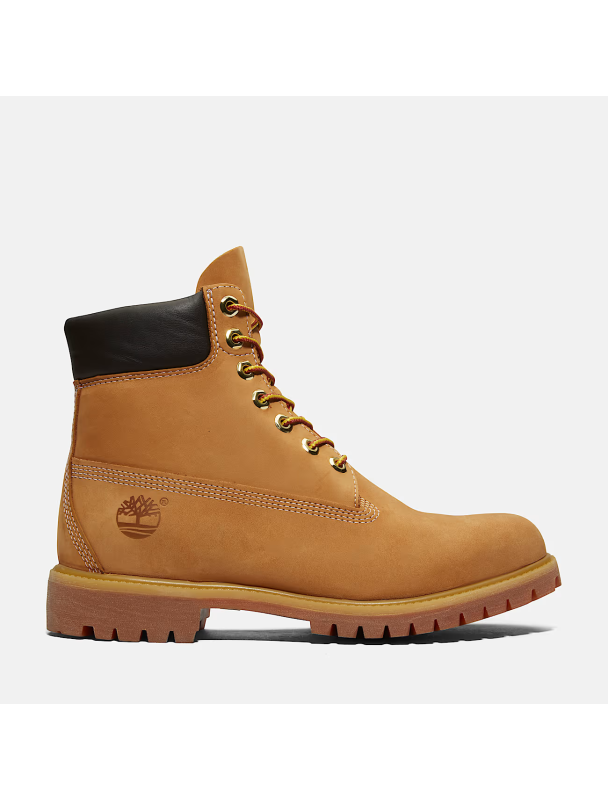 BOTA CUELLO