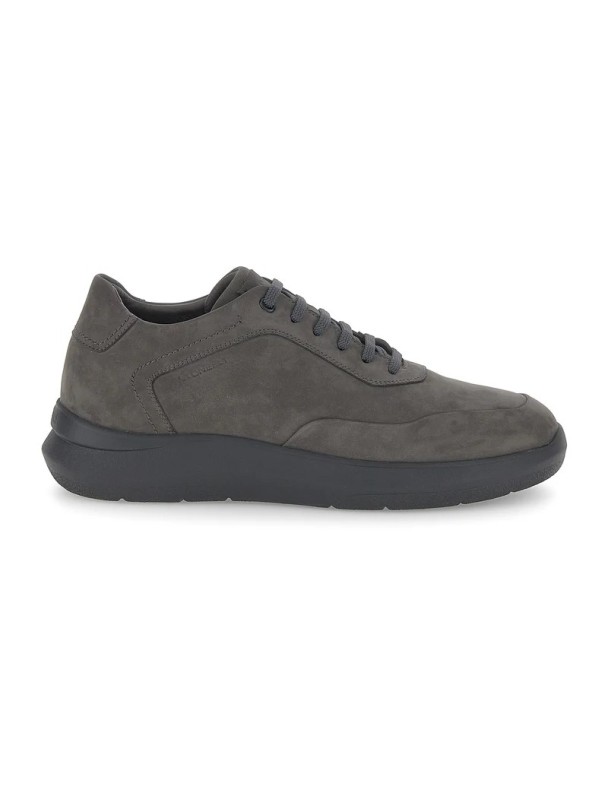 BLUCHER SEVEN