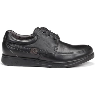 BLUCHER PROF