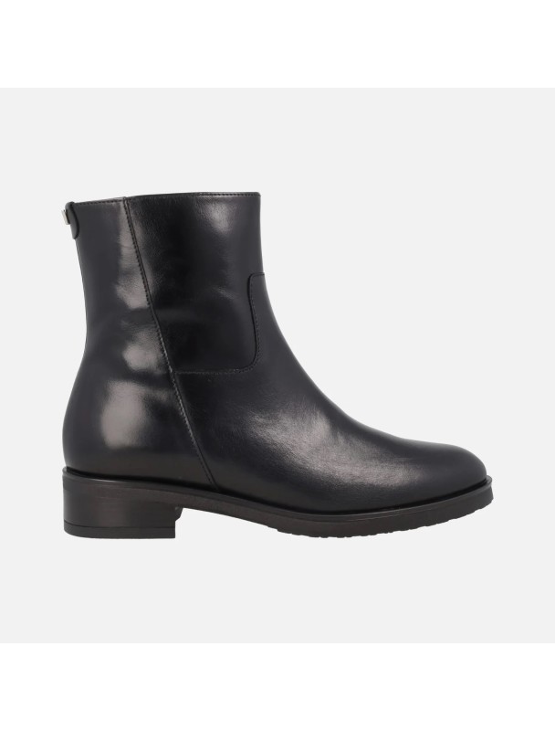 BOTIN PLANO