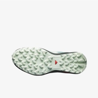SPEEDCROSS PEAK GTX W