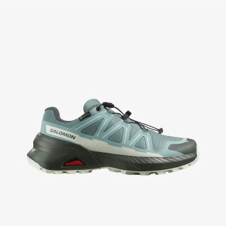 SPEEDCROSS PEAK GTX W
