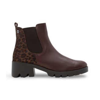 BOTIN ELASTICOS