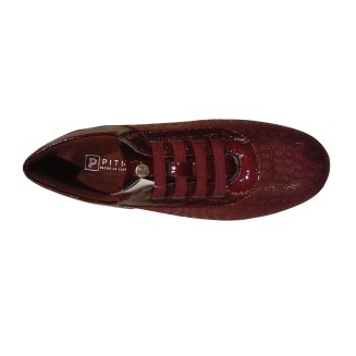 BLUCHER ELASTICOS