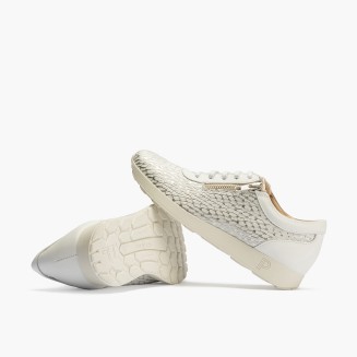 BLUCHER CREMALLERA