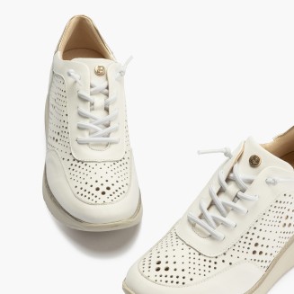 BLUCHER