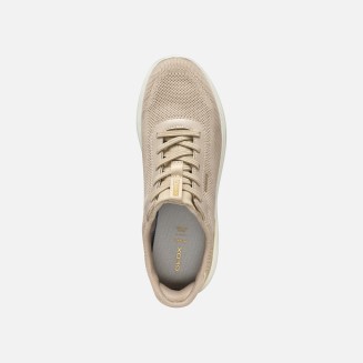 BLUCHER FAST IN