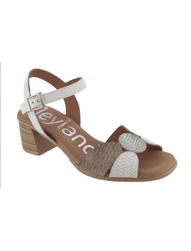 SANDLAIA T