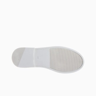BLUCHER