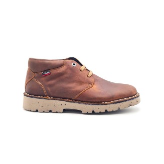 BOTA