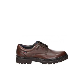 BLUCHER HIDRO