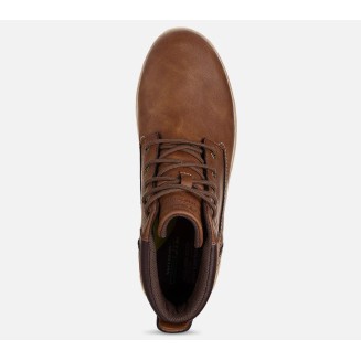 BOTA