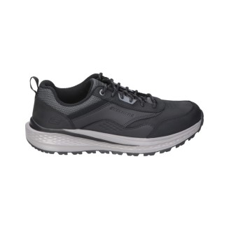 BLUCHER