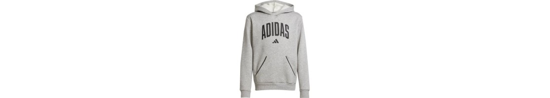 Sudadera Capucha