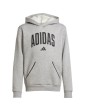 Sudadera Capucha