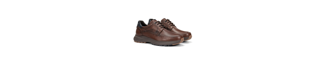 Blucher