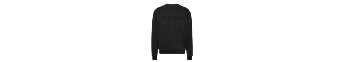 Sudadera SIN Capucha
