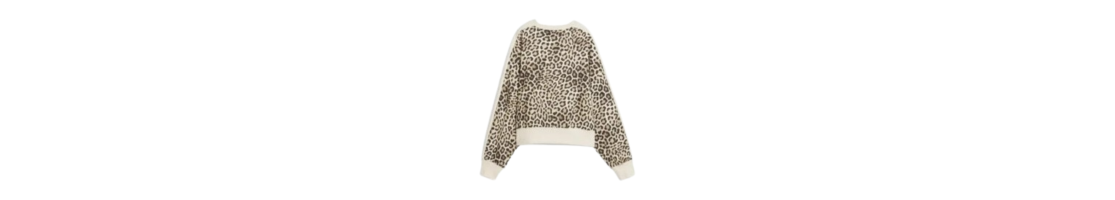 Sudadera SIN Capucha