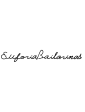 Euforia Bailarinas
